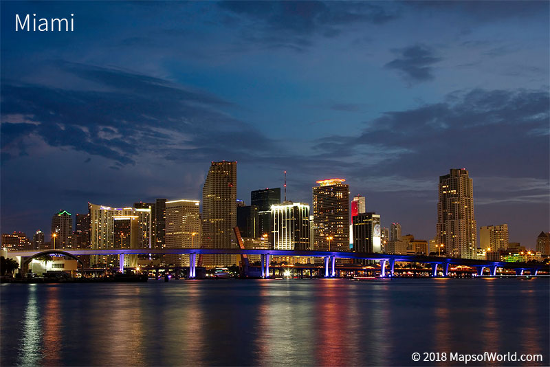 Miami landscape
