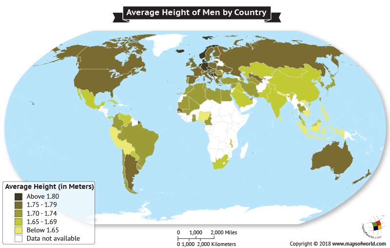 what-is-the-average-height-of-males-around-the-world-answers