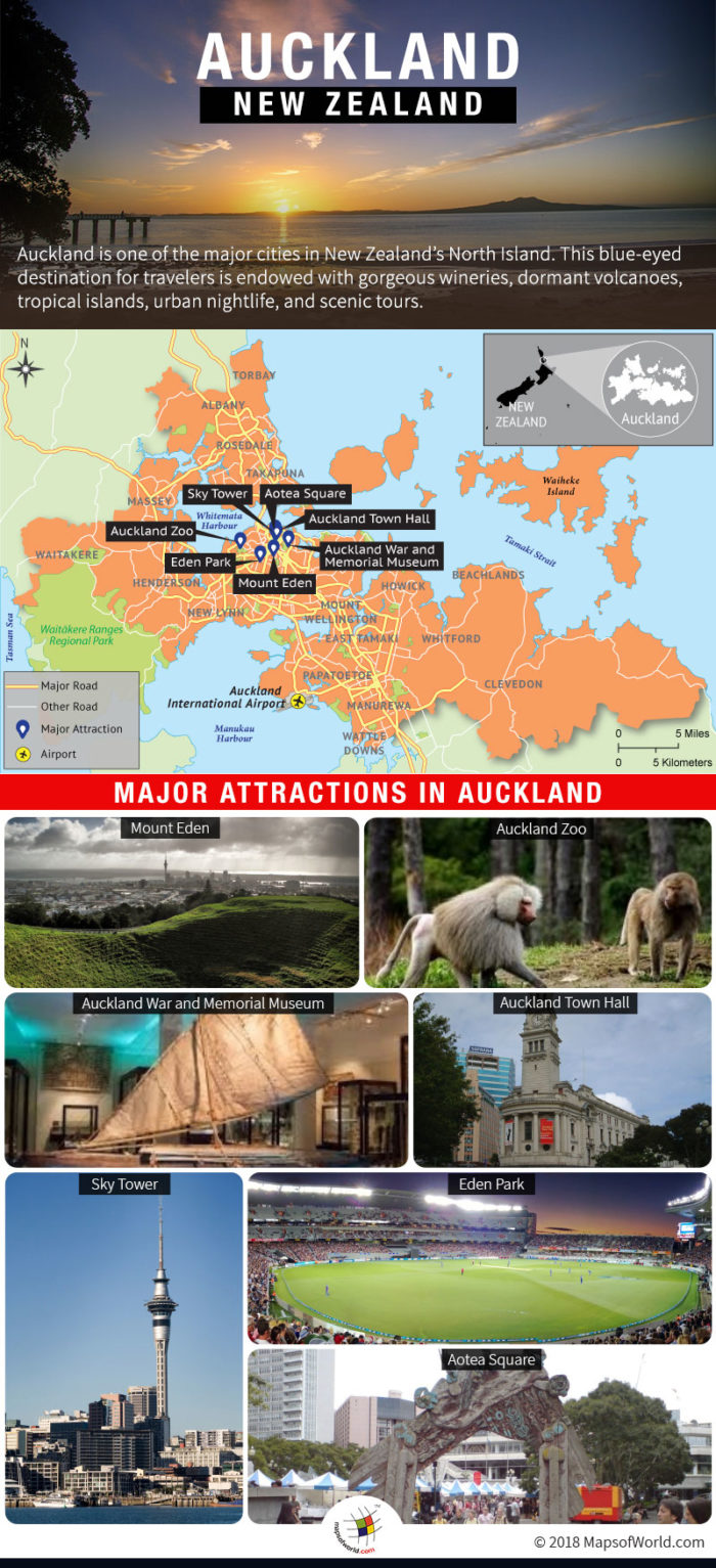 Infographic Depicting Auckland Tourist Attractions