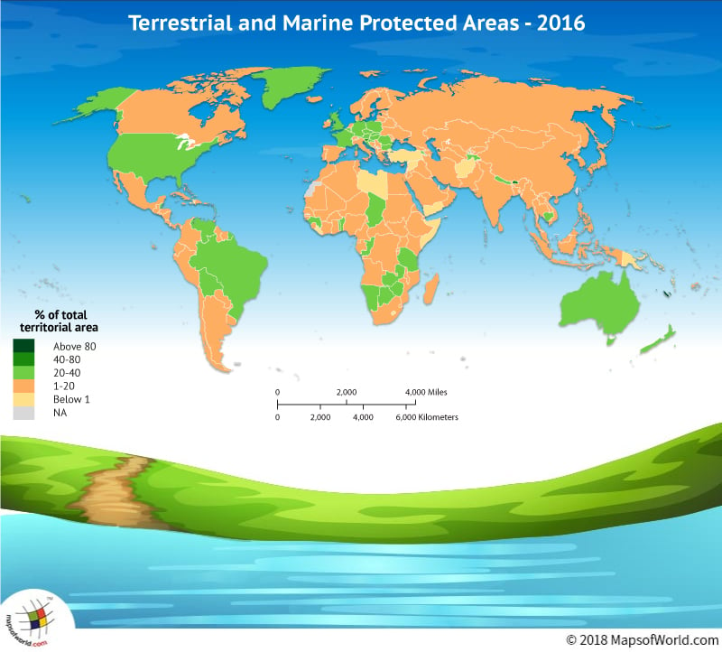 World Map showing terrestrial and marine areas