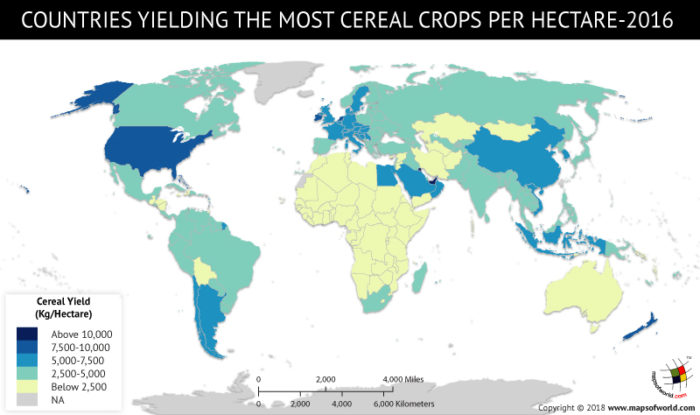 Cereal crop per hectare