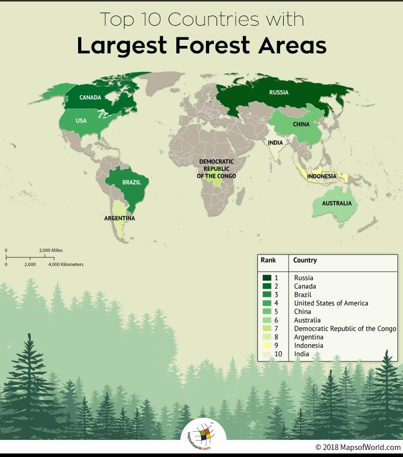 Top 10 countries with largest forest area