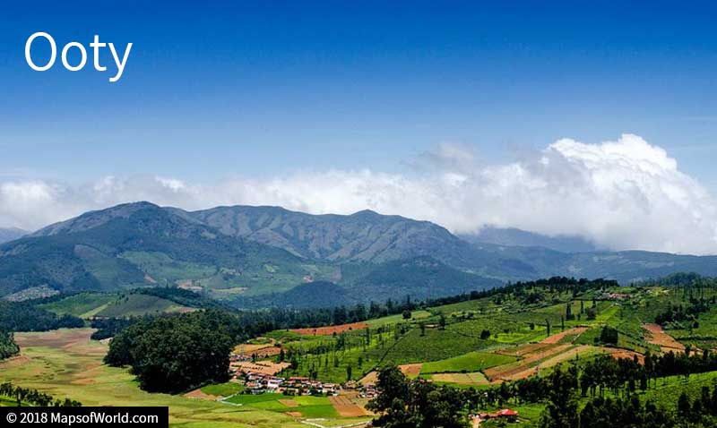 Ooty Landscape