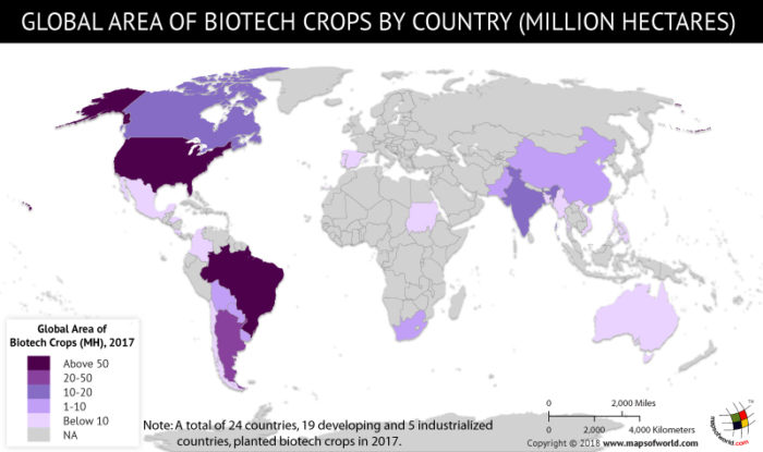 World map depicting global area of Biotech Crops