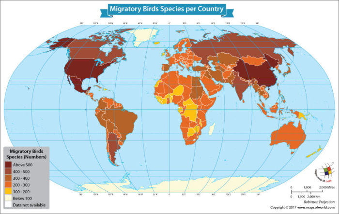World map showing migratory bird species