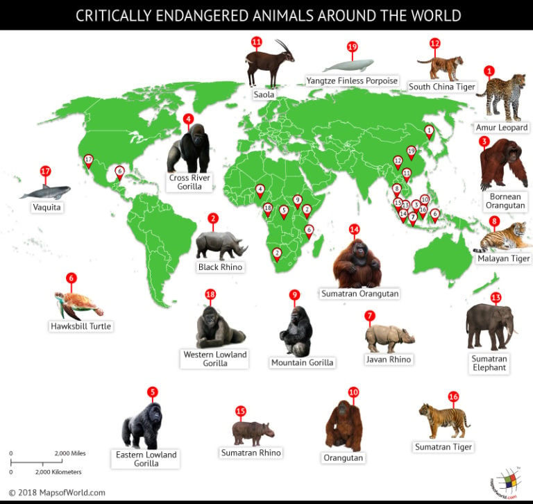 World map depicting locations of critically endangered animals - Answers