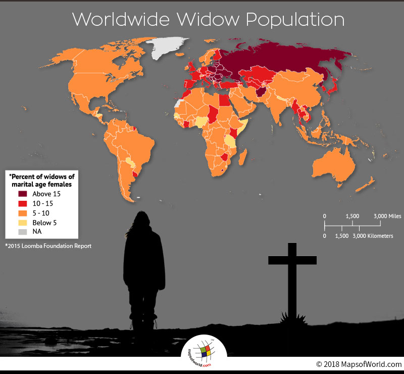 World map depicting Widow population