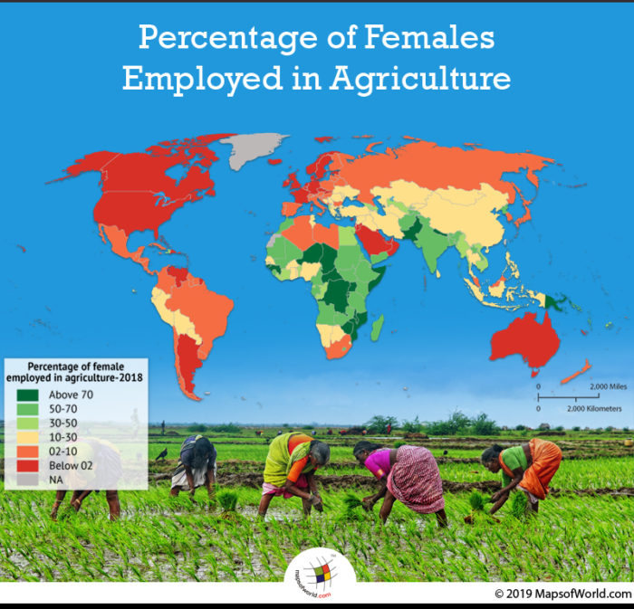 What Countries have the Highest Percentage of Females Employed in Agriculture?