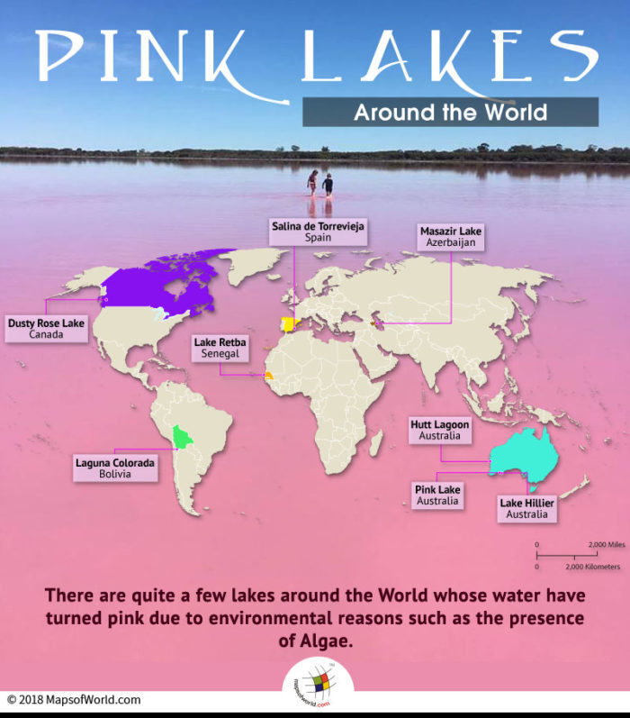 World map depicting pink lakes around the world