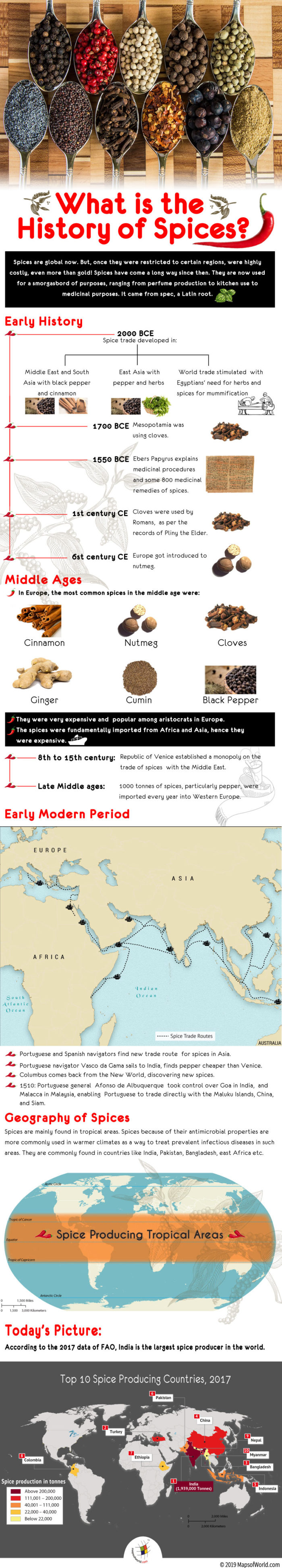 Infographic Showing World Map Depicting Top 10 Spice Producing Countries