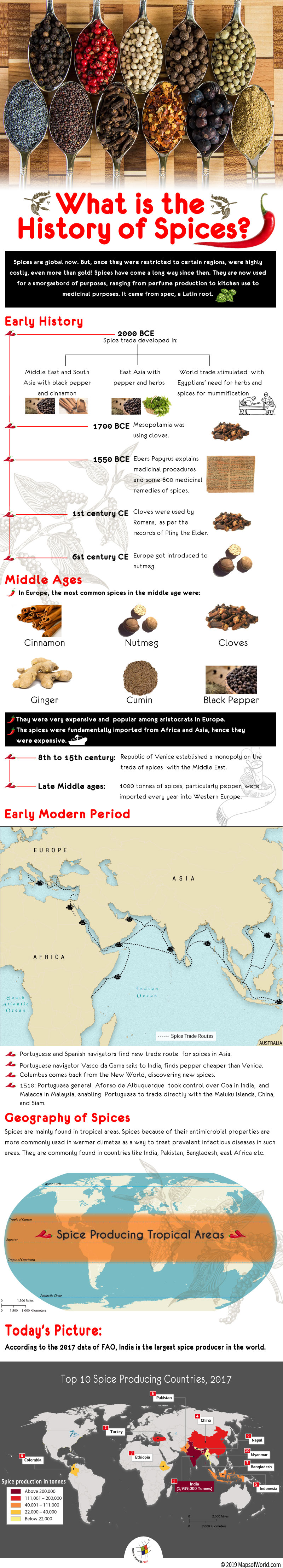 what-is-the-history-of-spices-answers