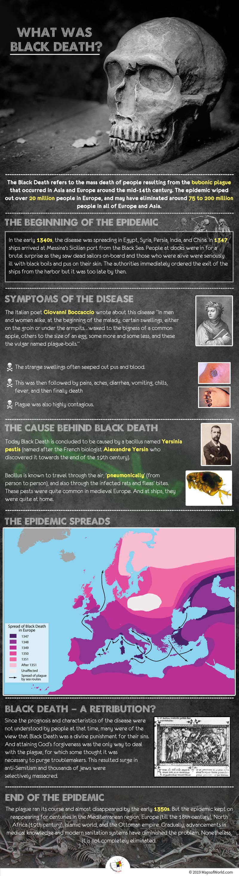 Infographic Giving Details on Black Death