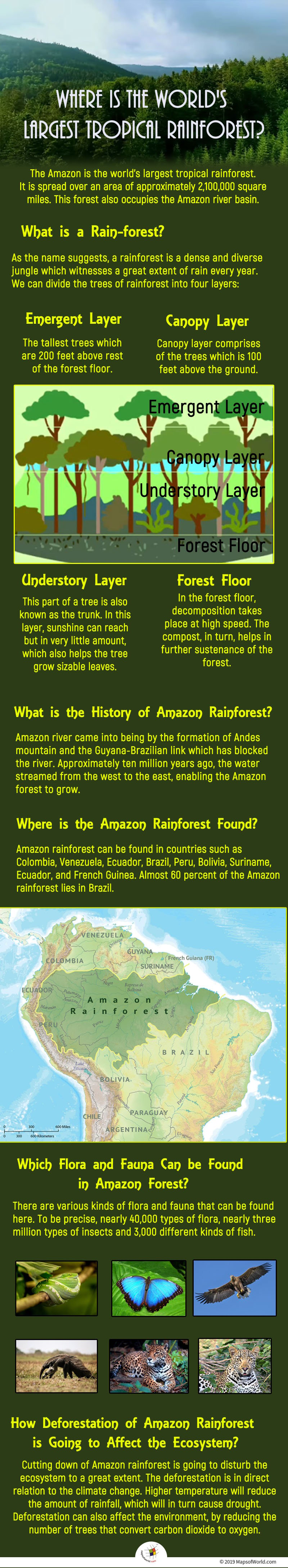 The Amazon is the world's largest tropical rainforest