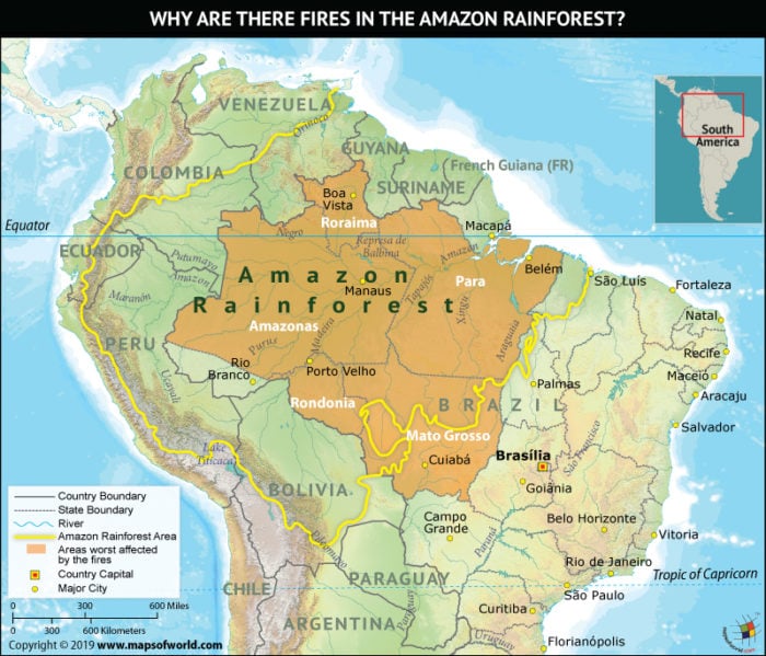 Map Showing Areas Affected by Amazon Rainforest Fires - Answers