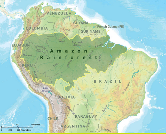 Where Is The Amazon Rainforest On A Map