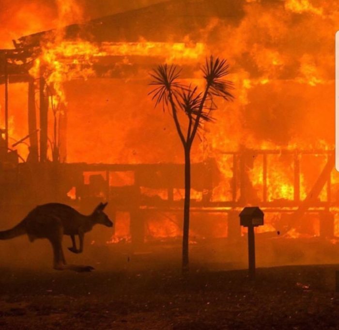 Australia Bushfire