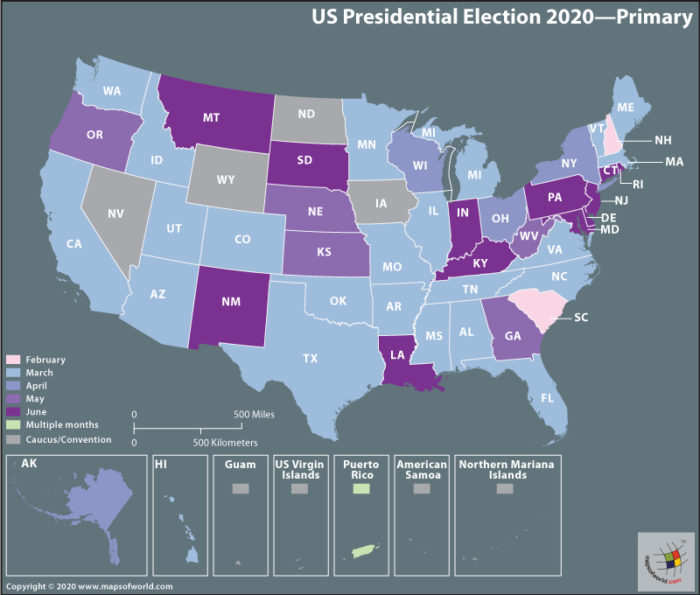 Map of USA - Presidential Election 2020 - Primary