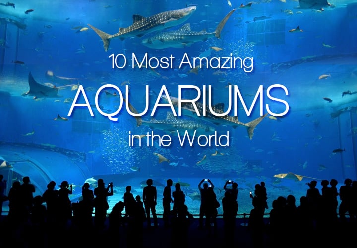 10 Most Amazing Aquariums in the World