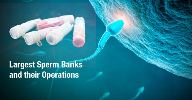 Worlds Largest Sperm Banks Around The World