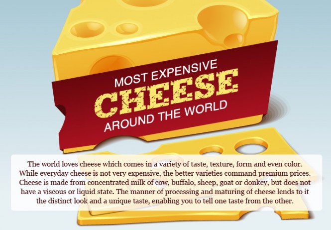 Cheese Infographic01 Around The World 5456