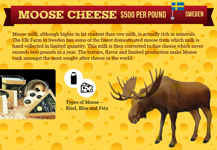 cheese-infographic_03.jpg