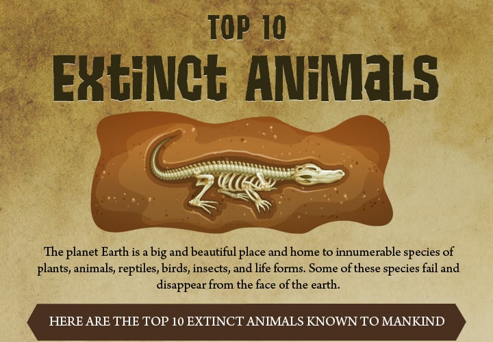 Top 10 Extinct Animals | Around the World