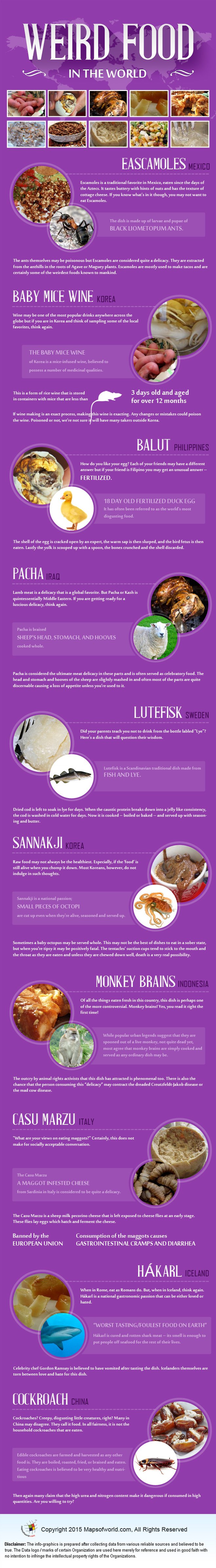 Infographics on Worst Food in the World