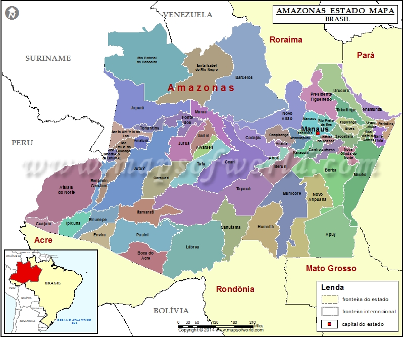 Mapa Político Do Amazonas - LIBRAIN