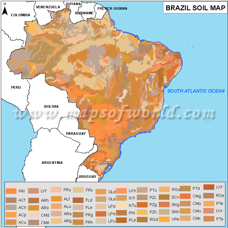Brazil Soil Map