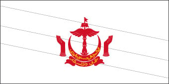 Blank Brunei Flag