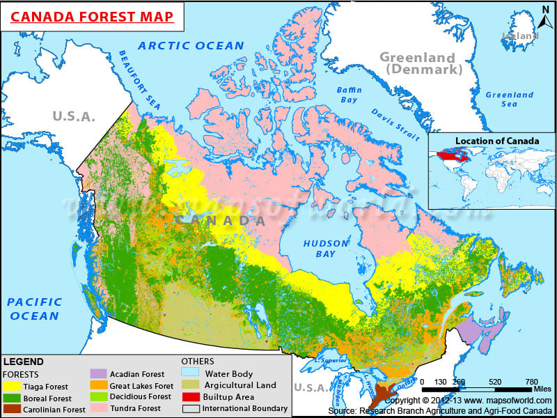 Canada Forest Map
