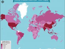 Kidney Diseases Death Rate By Country, On A World Map