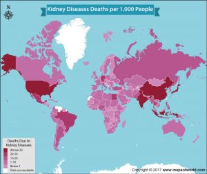 Get to Know the Number of Deaths due to Kidney Diseases by Country