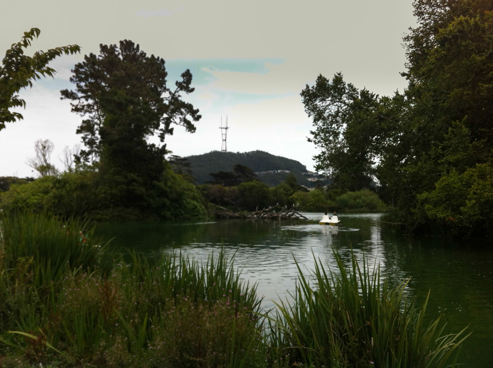 Golden Gate Park in San Francisco