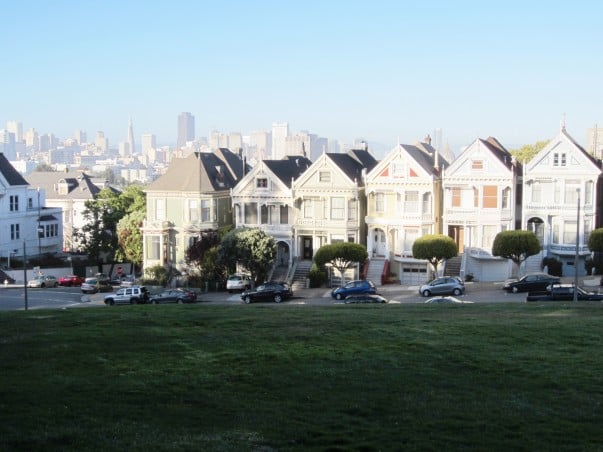 Stop by to take some pictures with the Painted Ladies