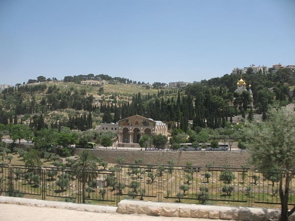 Basilica of the Agony and Church of Saint Mary Magdalene