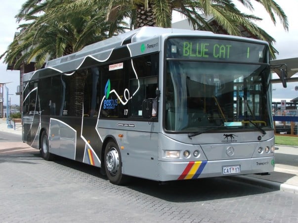 Central Area Transit Bus