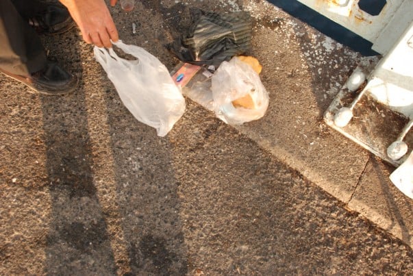 Fish transfered to poly bag - Galata Bridge, Istanbul