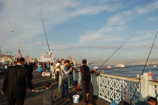 It is a good size catch - Fishing at Galata Bridge