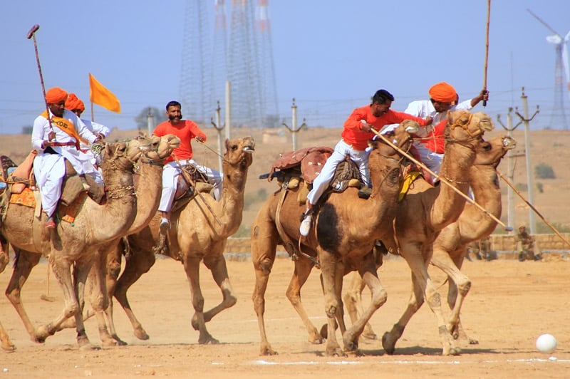 Desert Festival Jaisalmer