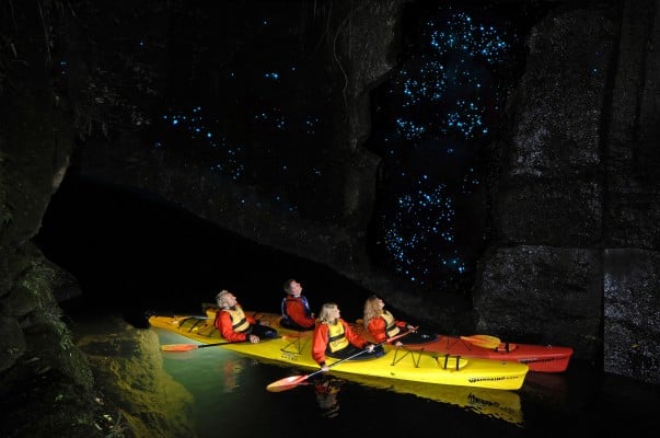 Glow worm caves