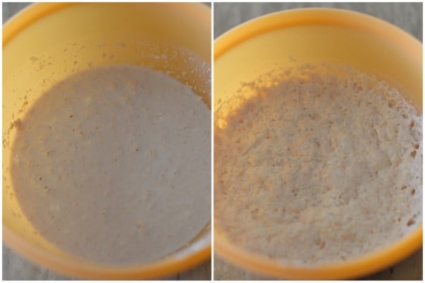 Gugelhupf - Yeast Before & After Rising