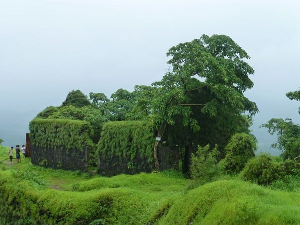 Karnala Fort