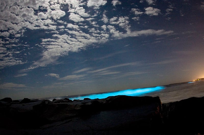 Puerto Rico (Mosquito Bay-–-glows in the dark)