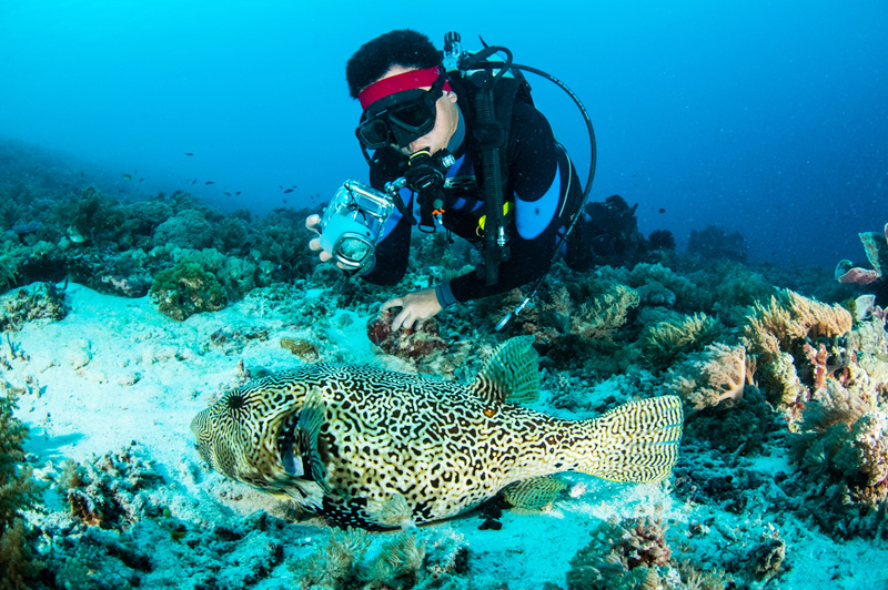 Diving in Sarawak Island