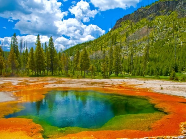 Yellowstone National Park in United States