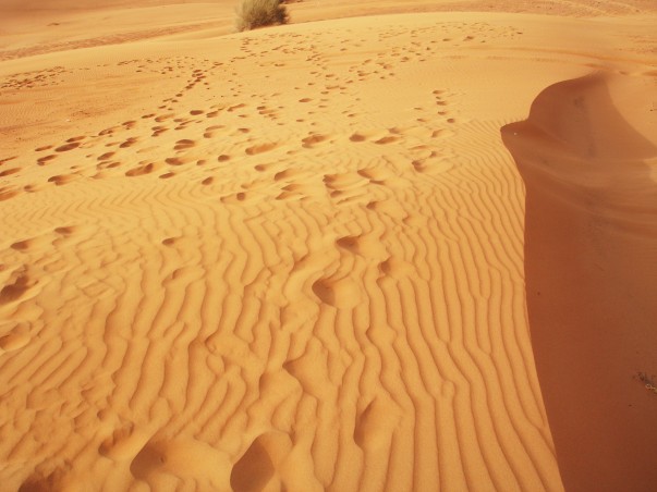 Desert Safari Dubai