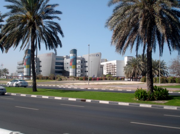 Date and Palm Trees in Dubai