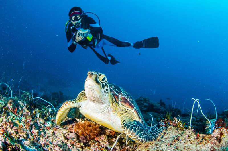 Diving in Malaysia