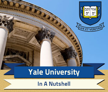 yale university where universities infographic located